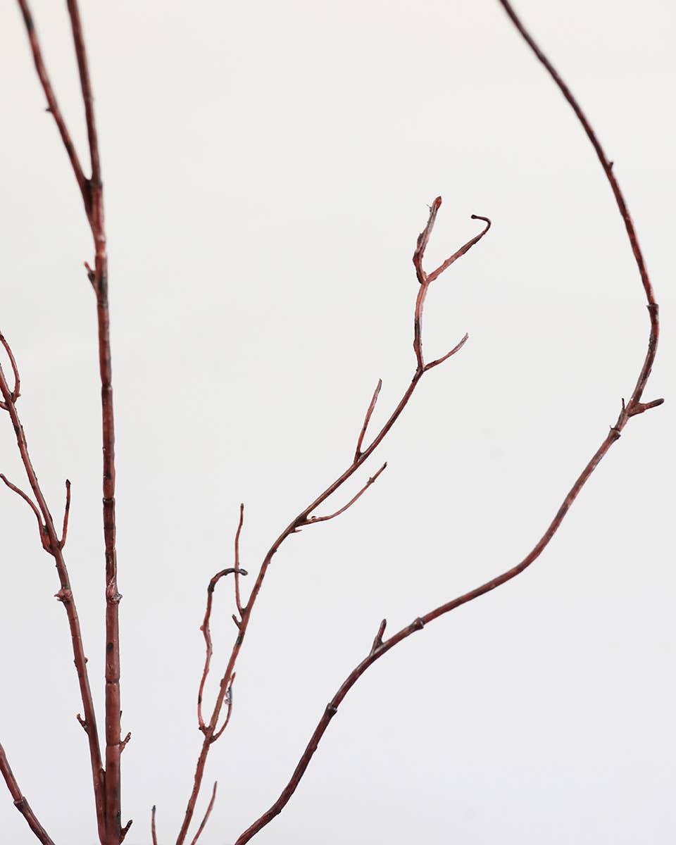 Twisted Willow Branch 44"