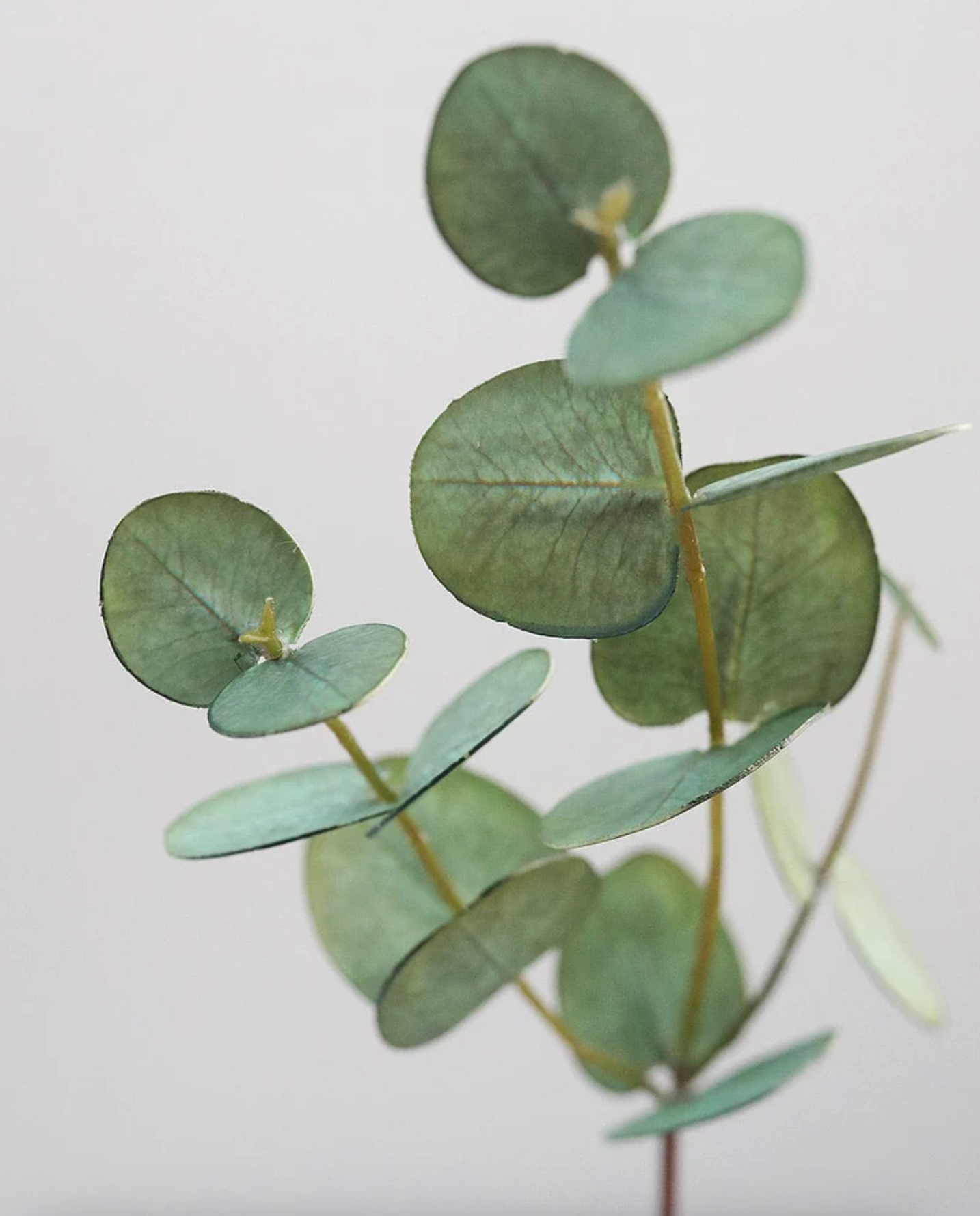 Faux Eucalyptus 18”