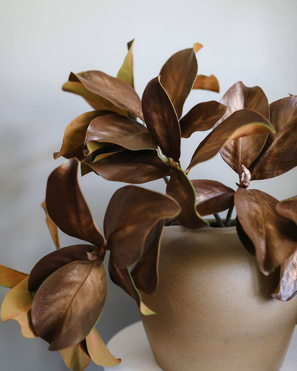 Fall Magnolia Leaf Branch 25"