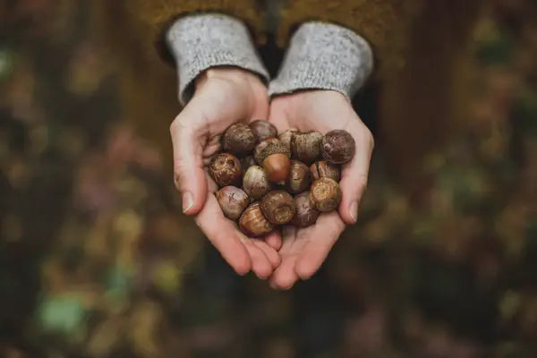 The Art of Slow Living: Coffee Table Book