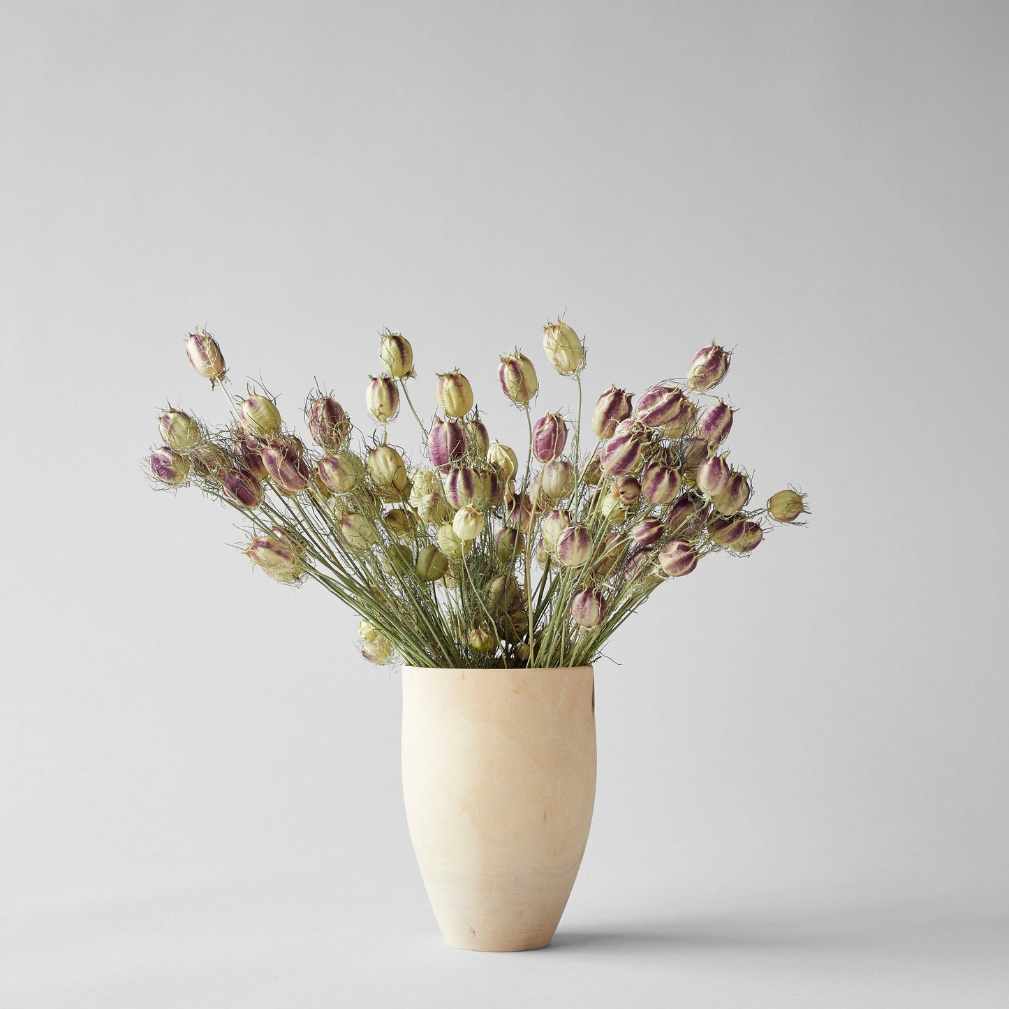 Dried Nigella Pods