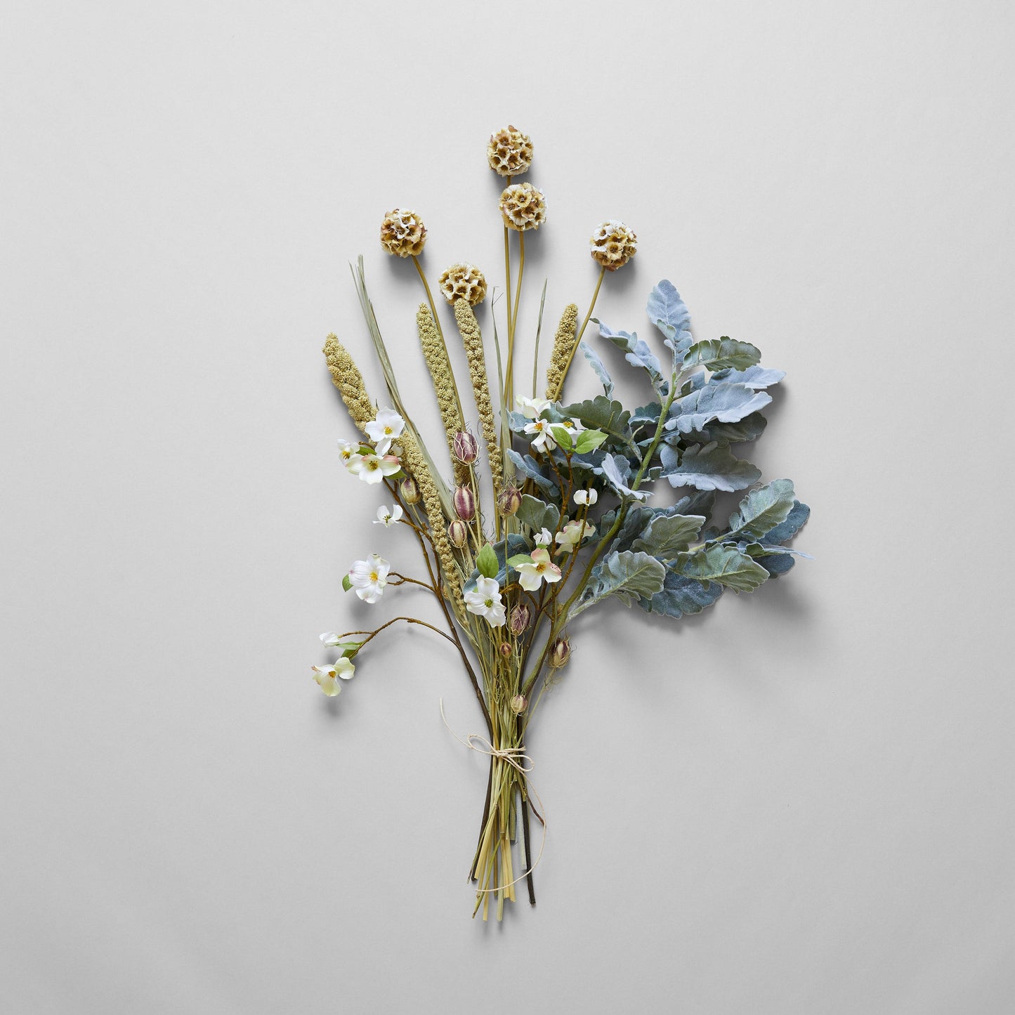 Dried Nigella Pods