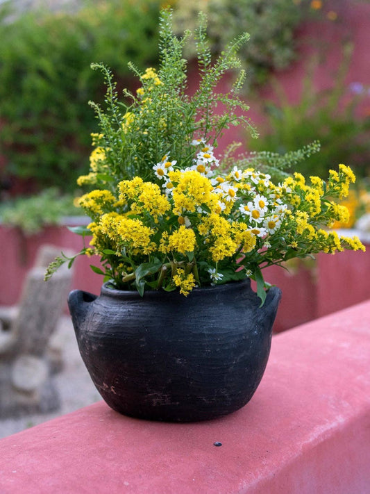 Two Handle Erzurum Pot