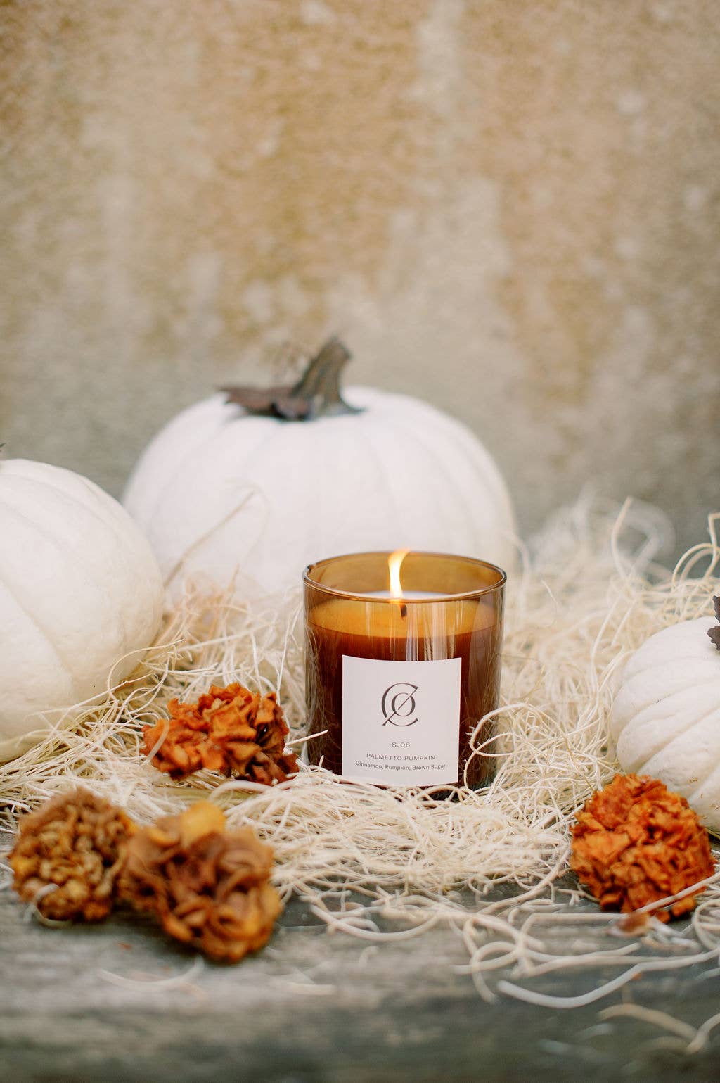 S. 06 Palmetto Pumpkin Soy Candle: 9 oz.