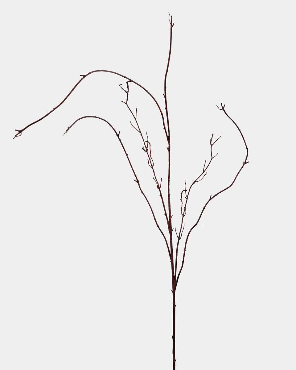Twisted Willow Branch 44"