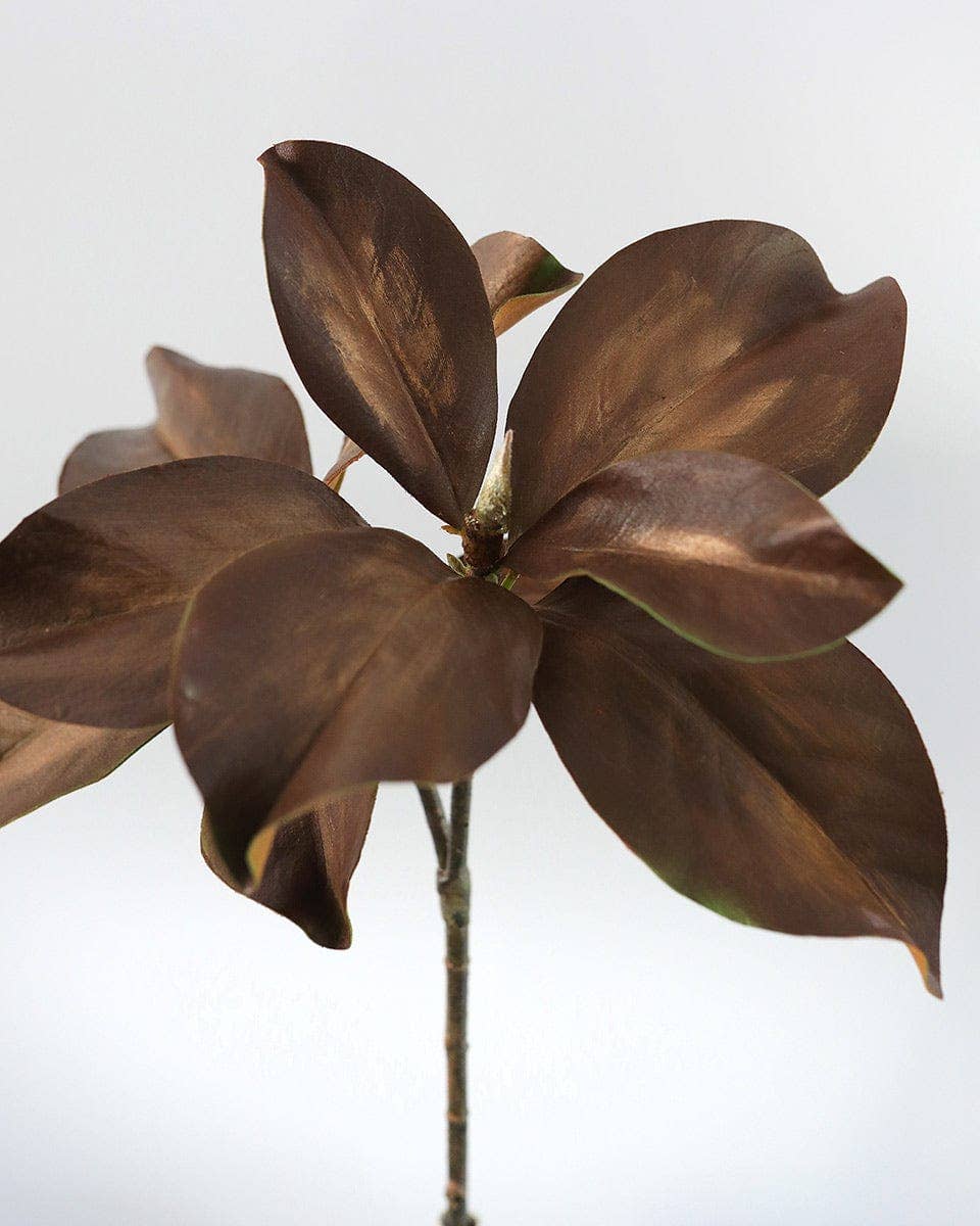 Fall Magnolia Leaf Branch 25"