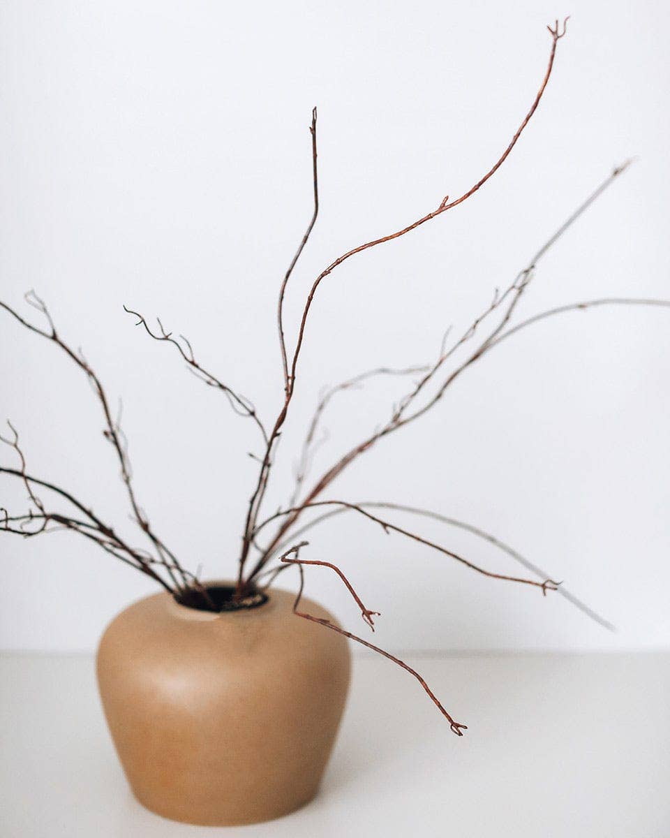 Twisted Willow Branch 44"