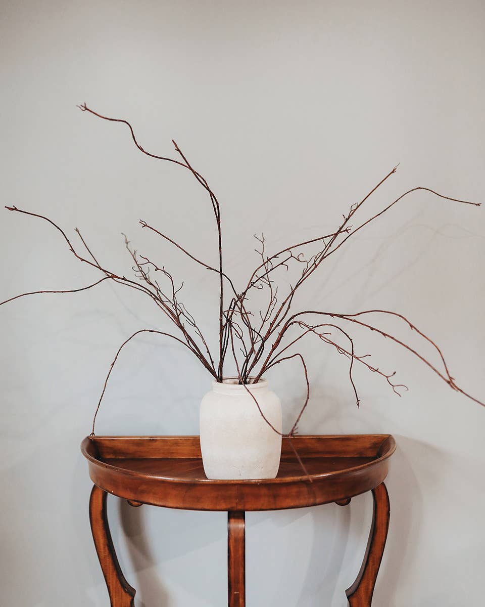 Twisted Willow Branch 44"