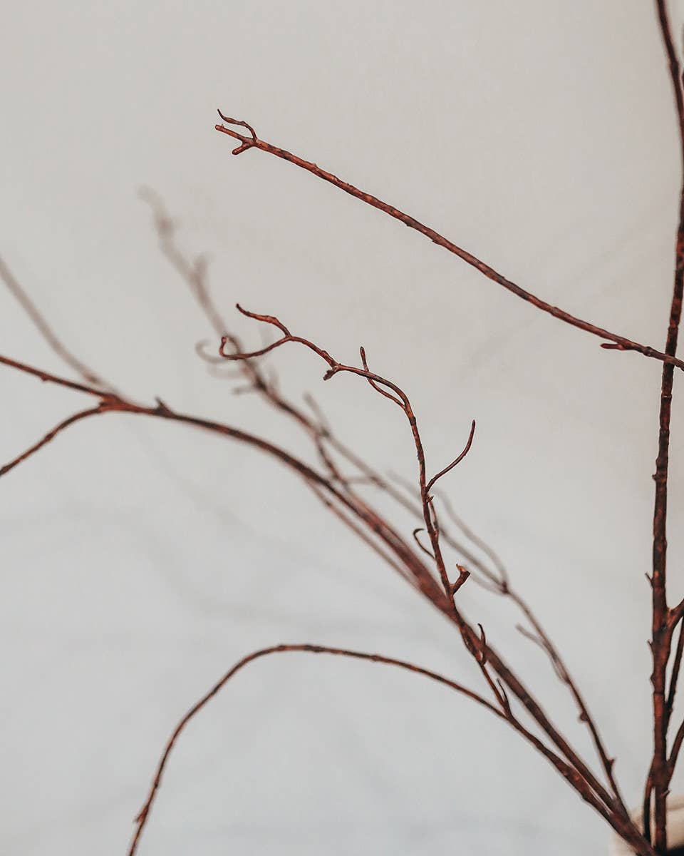 Twisted Willow Branch 44"