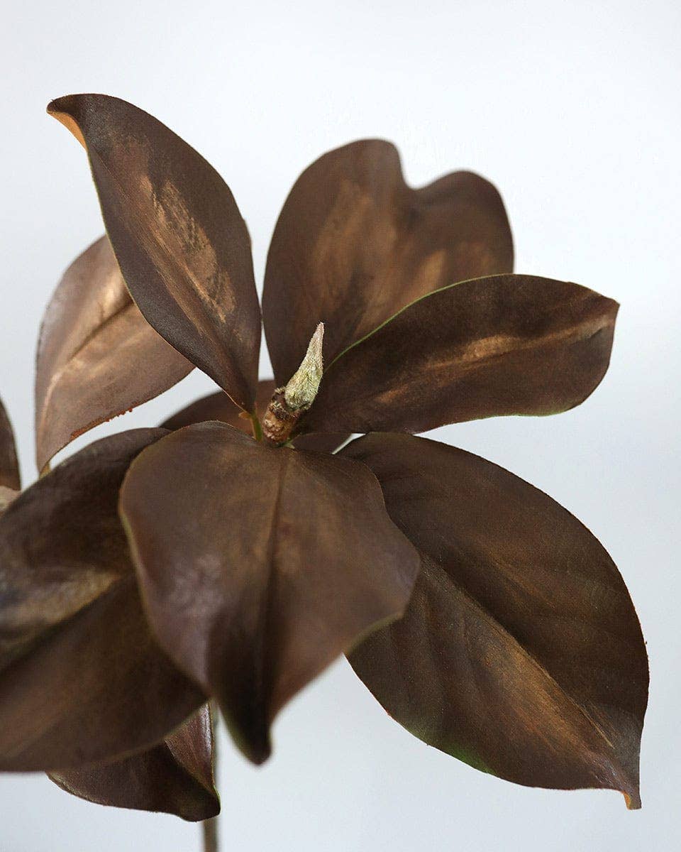 Fall Magnolia Leaf Branch 25"