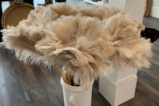 Feather Duster