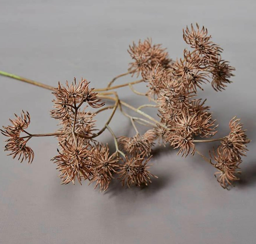 Hazel Stem