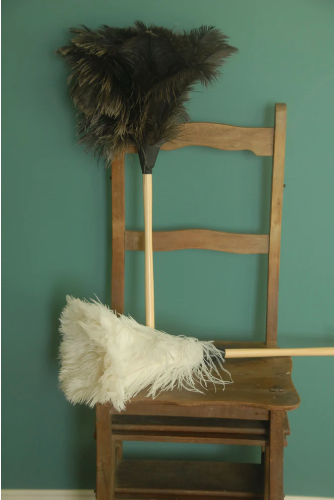 Feather Duster