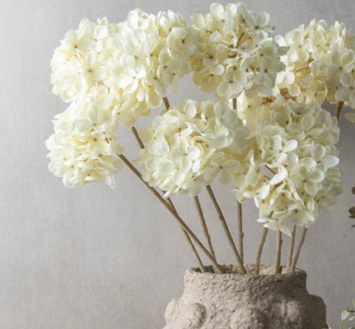 Hydrangea Cream Stem