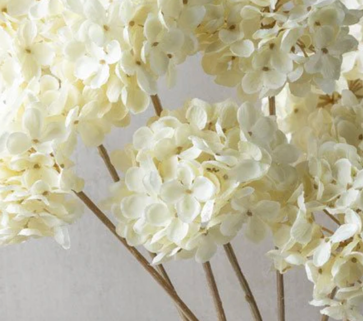 Hydrangea Cream Stem
