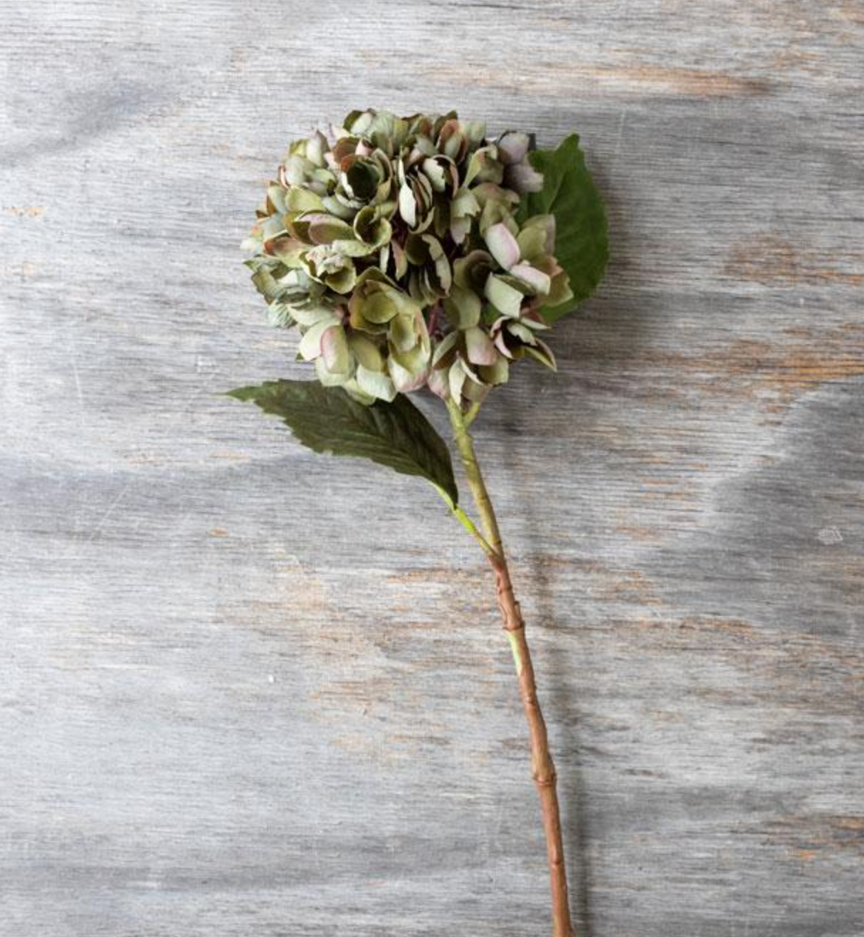 Artificial Hydrangea Chloris Stem