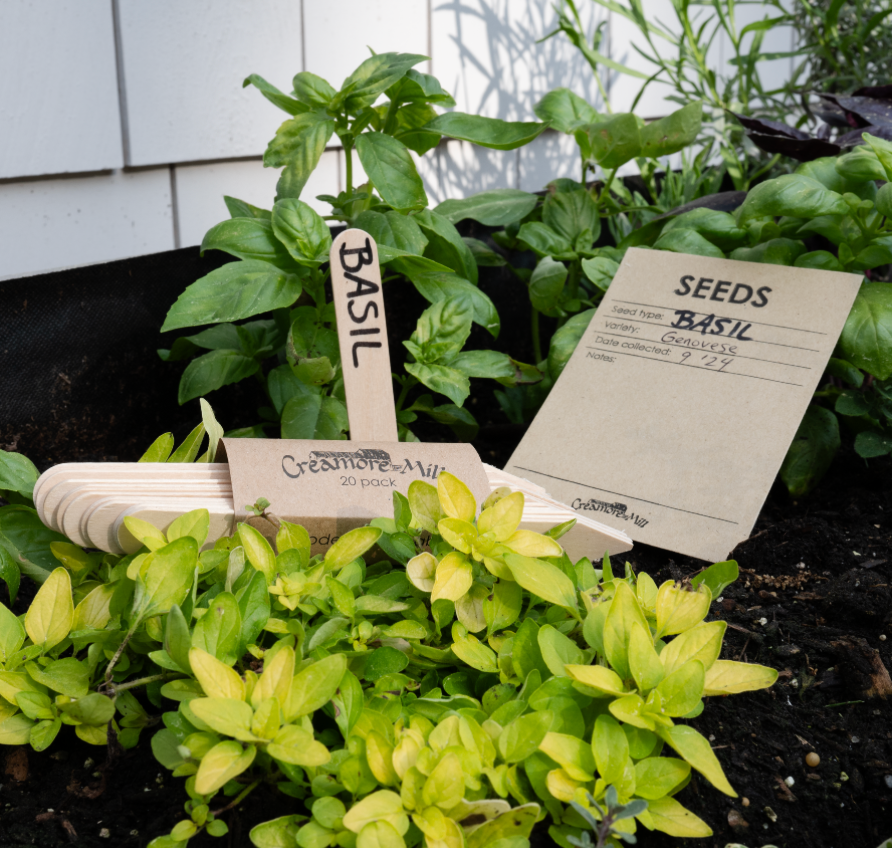 Seed Labels