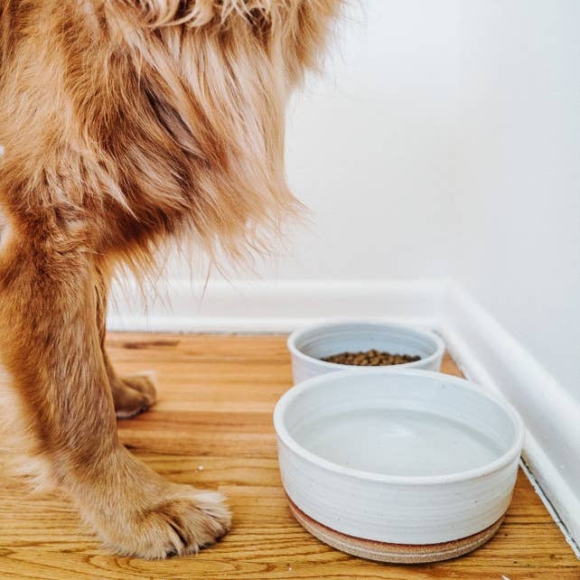 Dog Bowls: Nesting Set