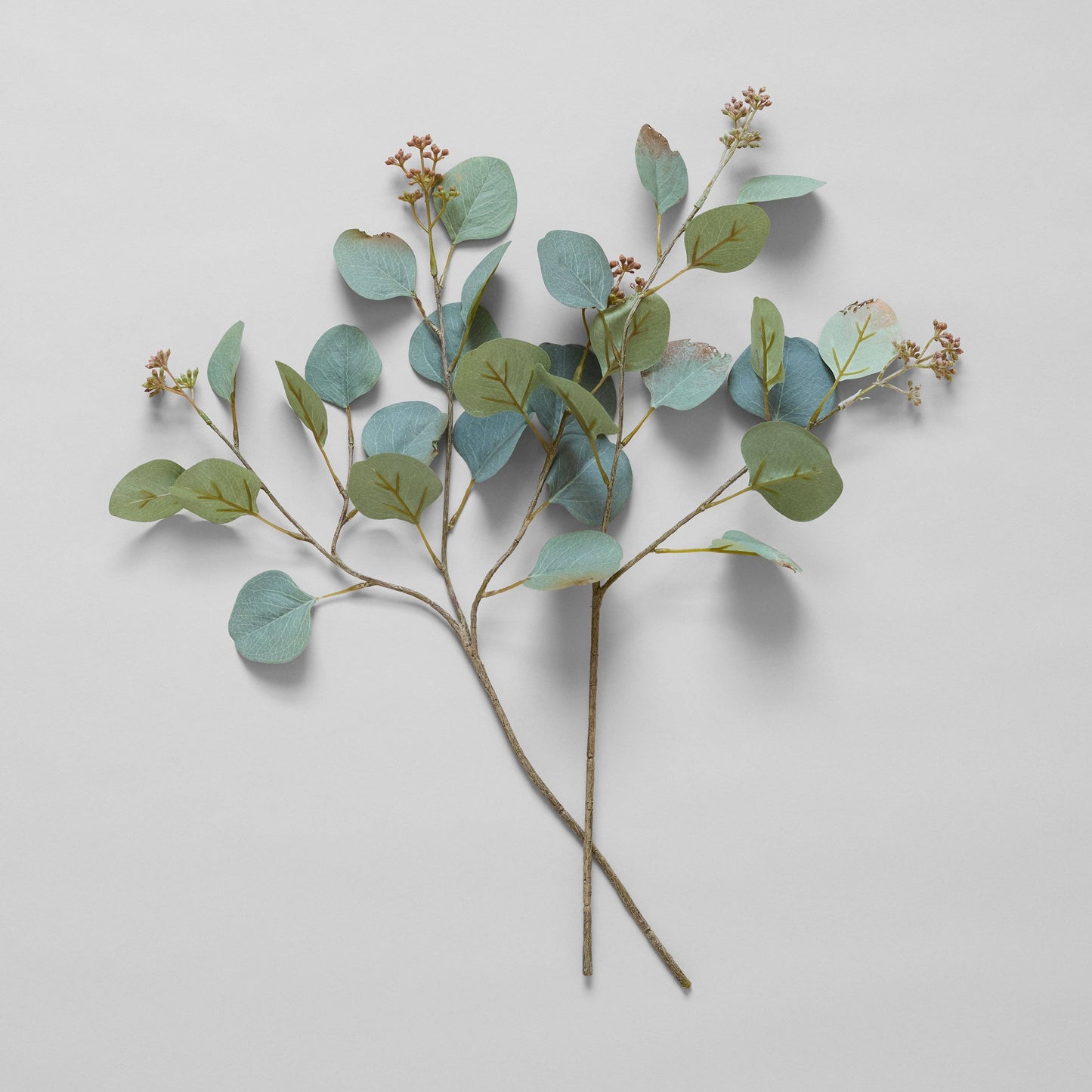 EcoFaux Silver Dollar Eucalyptus, 20"