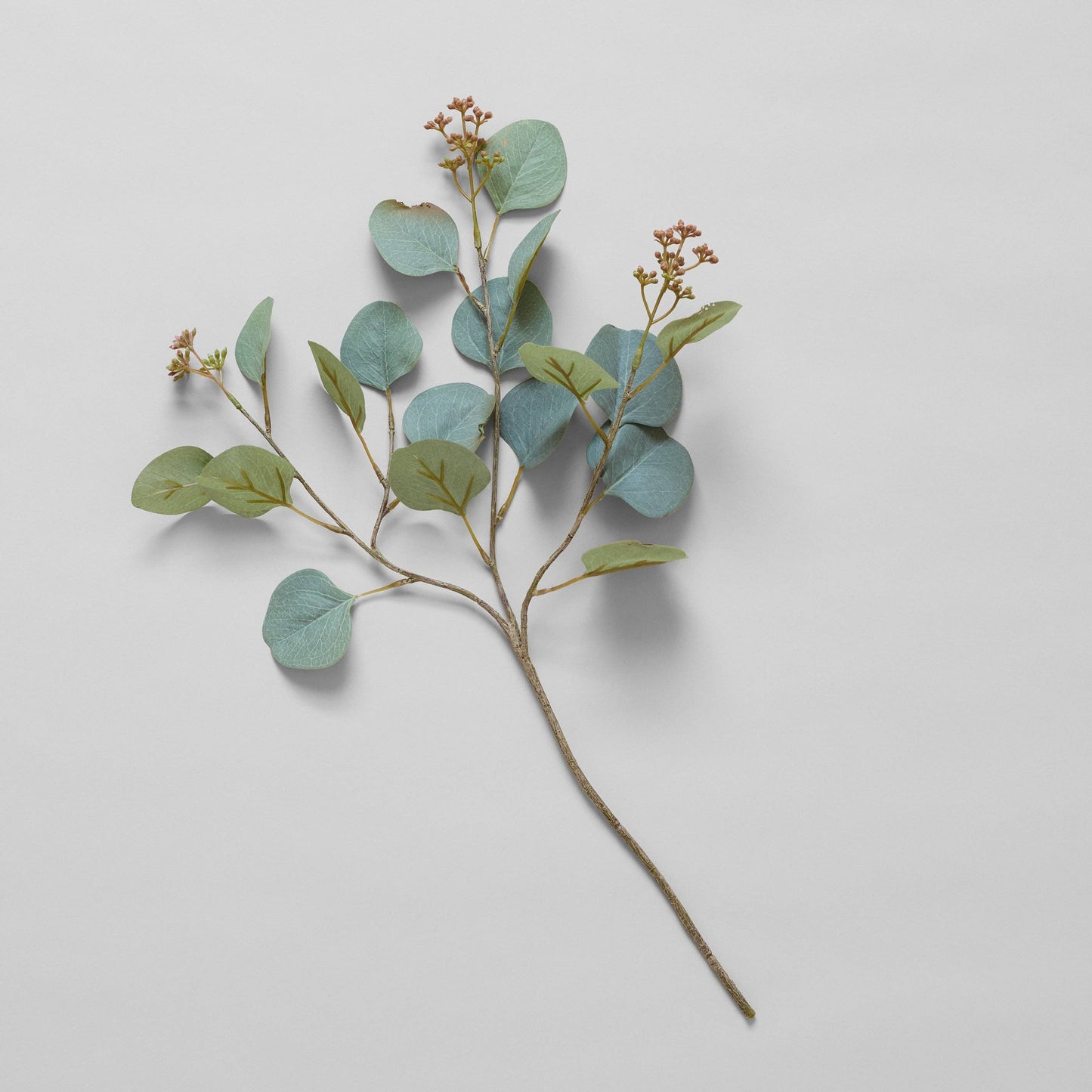 EcoFaux Silver Dollar Eucalyptus, 20"
