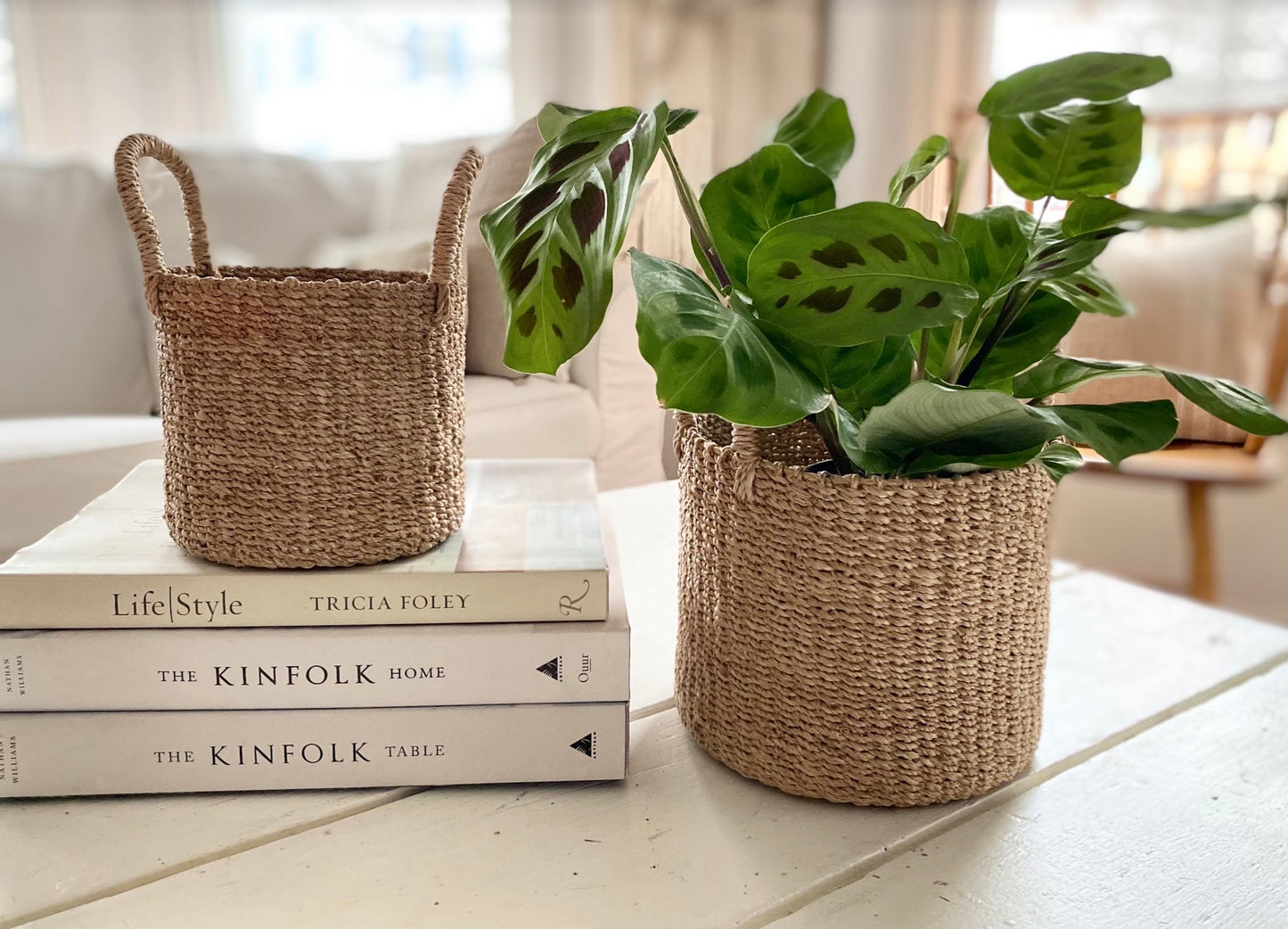 Natural Tabletop Mini Baskets
