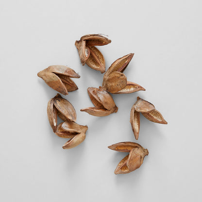 Natural Sora Pods