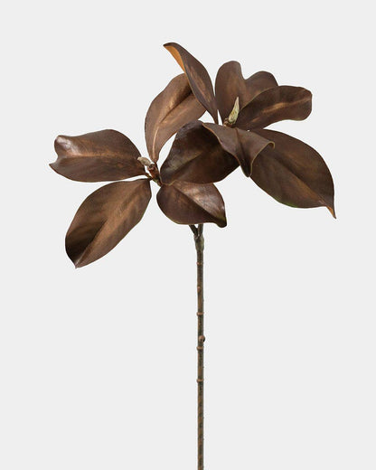 Fall Magnolia Leaf Branch 25"