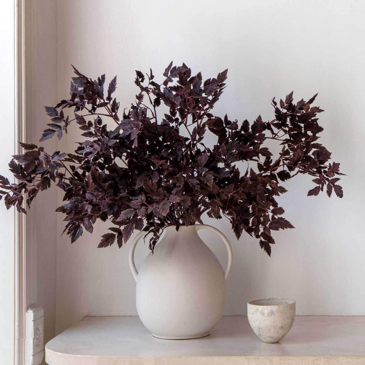Plum  Cimicifuga Ramosa Leaves - 31"
