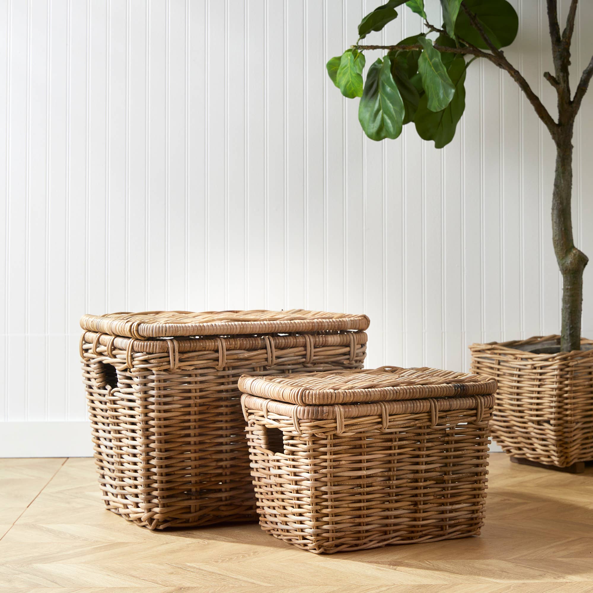 Ruthie Storage Trunks - IN STORE PICK UP ONLY – puck and abby