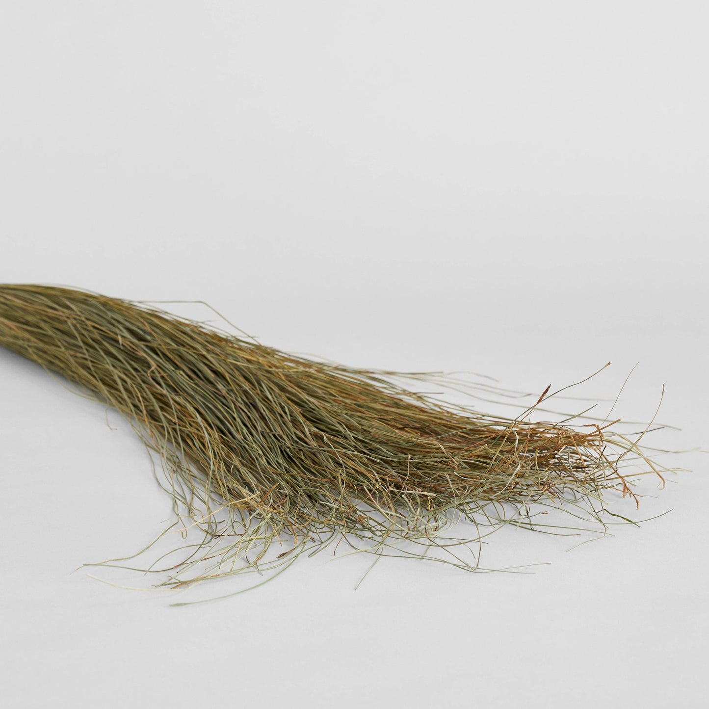 Natural Dune Grass
