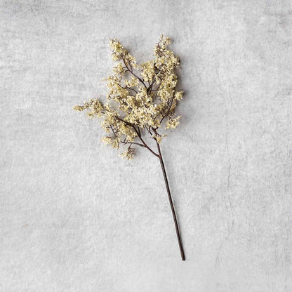 Faux Sedge, Winter Dew