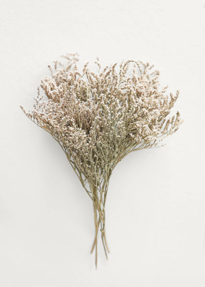 Natural Dried Flowers German Limonium Bundle