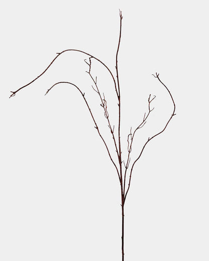 Twisted Willow Branch 44"
