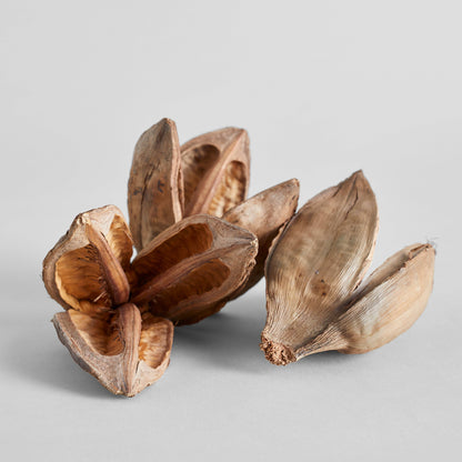 Natural Sora Pods
