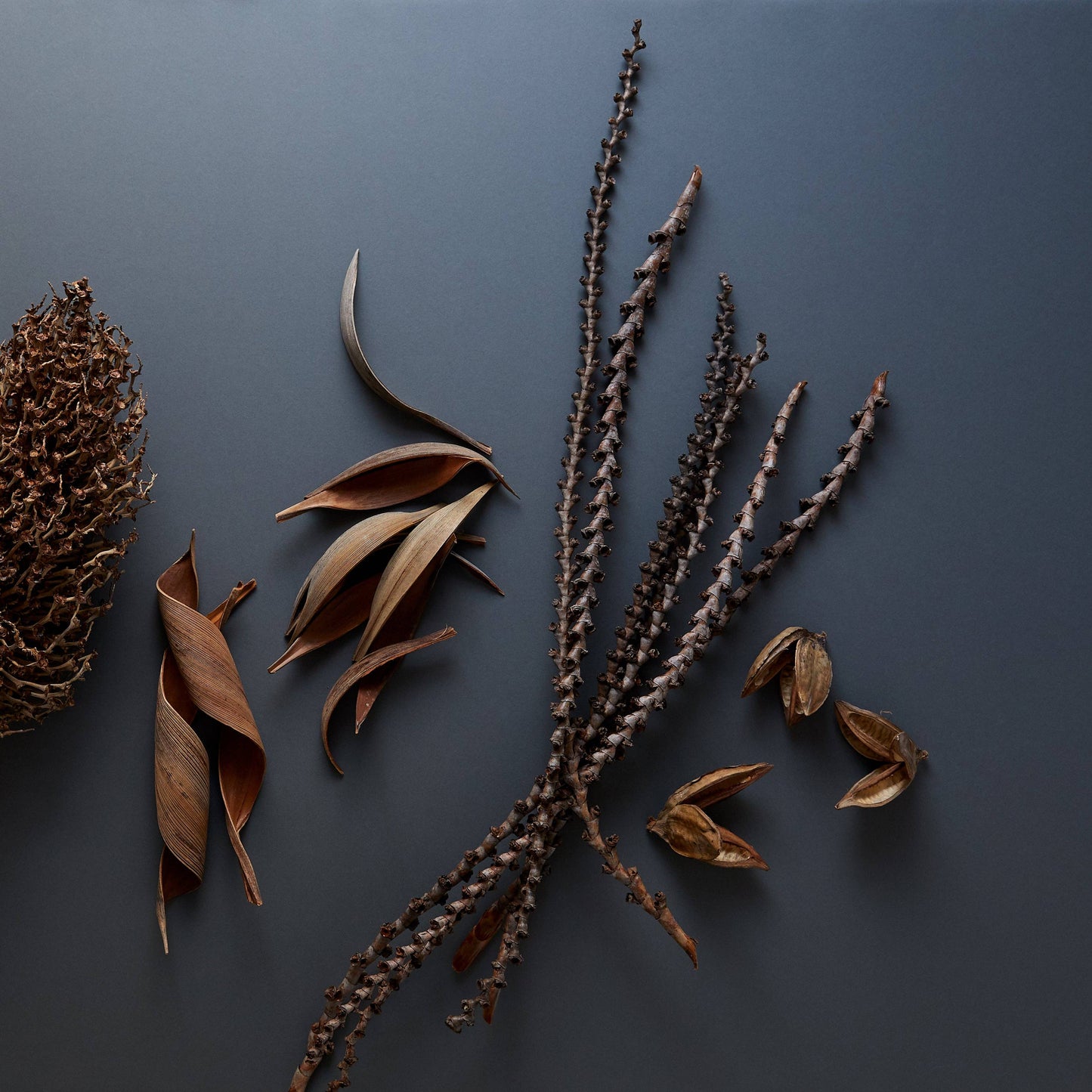 Natural Sora Pods