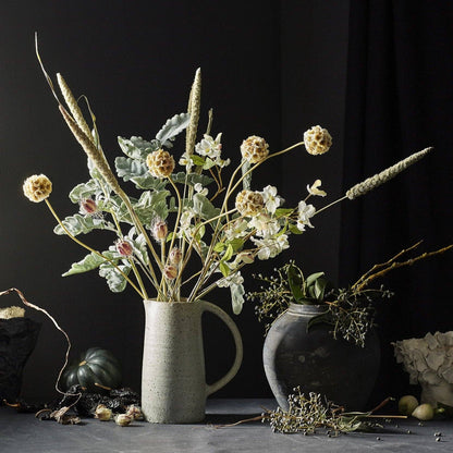 Dried Nigella Pods
