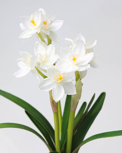 Real Touch White Narcissus 13”