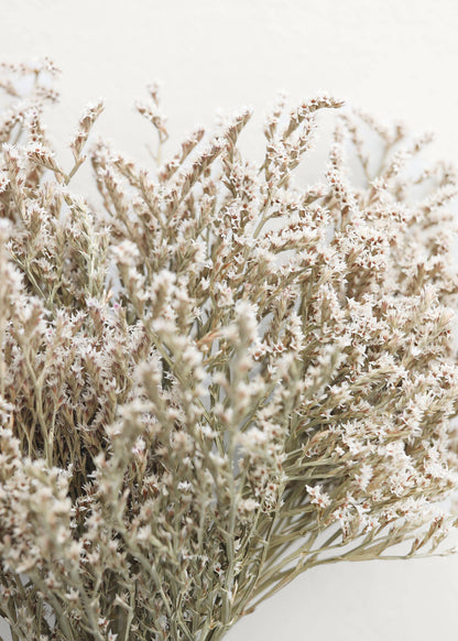 Natural Dried Flowers German Limonium Bundle