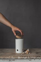 Load image into Gallery viewer, Garlic keeper/Garlic pot: White\ White
