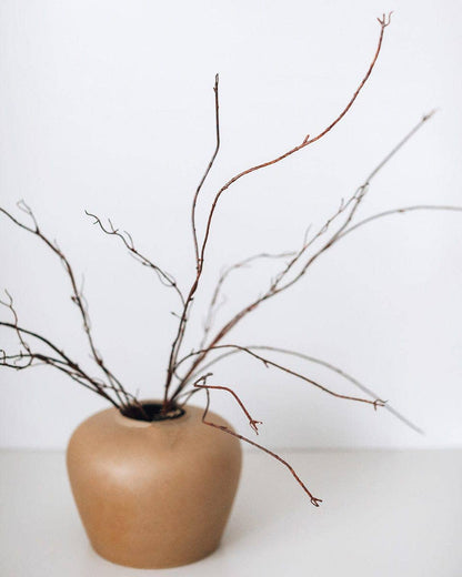 Twisted Willow Branch 44"
