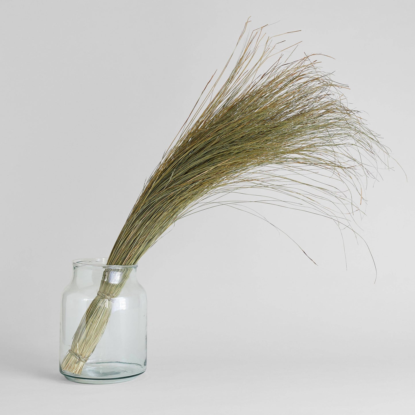 Natural Dune Grass
