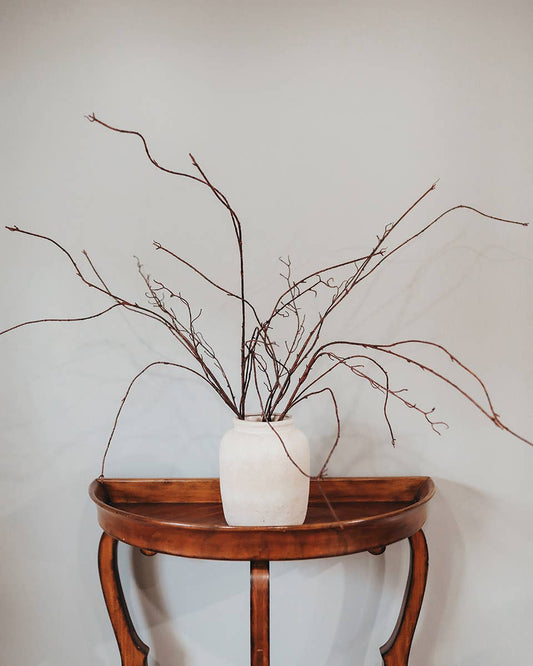 Twisted Willow Branch 44"