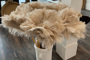 Feather Duster