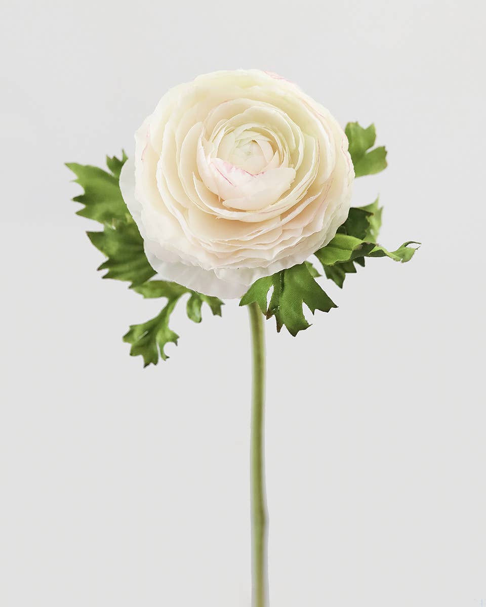 Cream Silk Ranunculus 21”