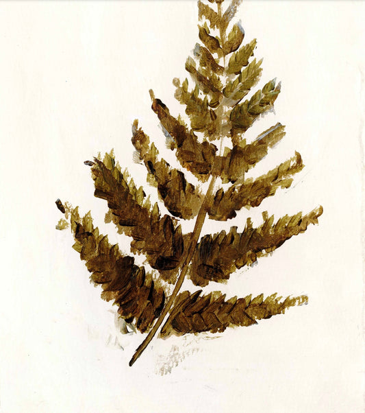Fondly - Fern 3 w/ Ivory Matte