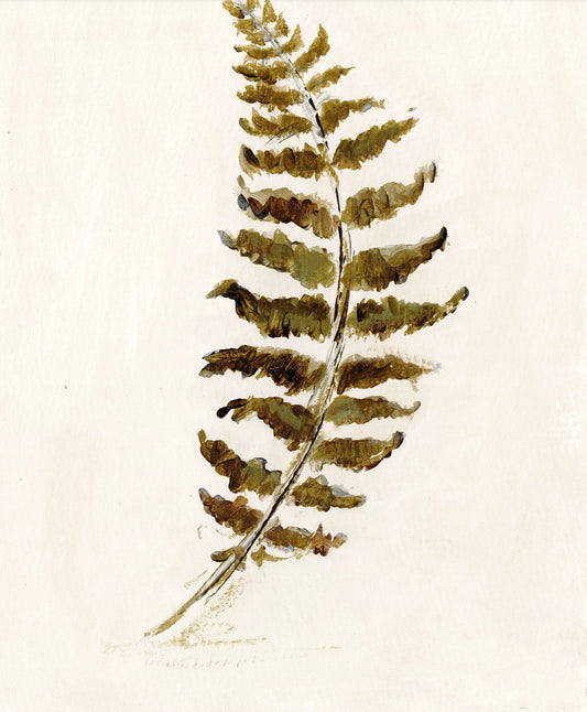 Fondly - Fern 2 w/ Ivory Matte