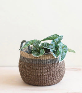 Brown Tabletop Bulgar Basket