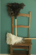 Load image into Gallery viewer, Feather Duster
