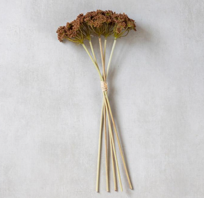 Yarrow Bunch