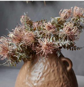 Leucospermum Bush